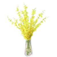 uploads/erp/collection/images/Home Garden/CongDing/XU0612474/img_b/XU0612474_img_b_5